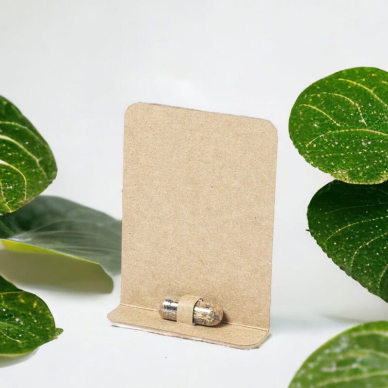 Cápsula de semillas flores silvestres. Sin personalizar capsula semilla de flores silvestres