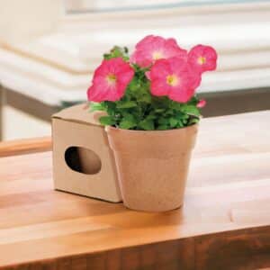 Maceta con semillas de petunia. Macetero biodegradable.